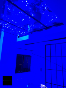 Realizacja Blue Light. Oświetlenie i nagłośnienie imprezy prywatnej
